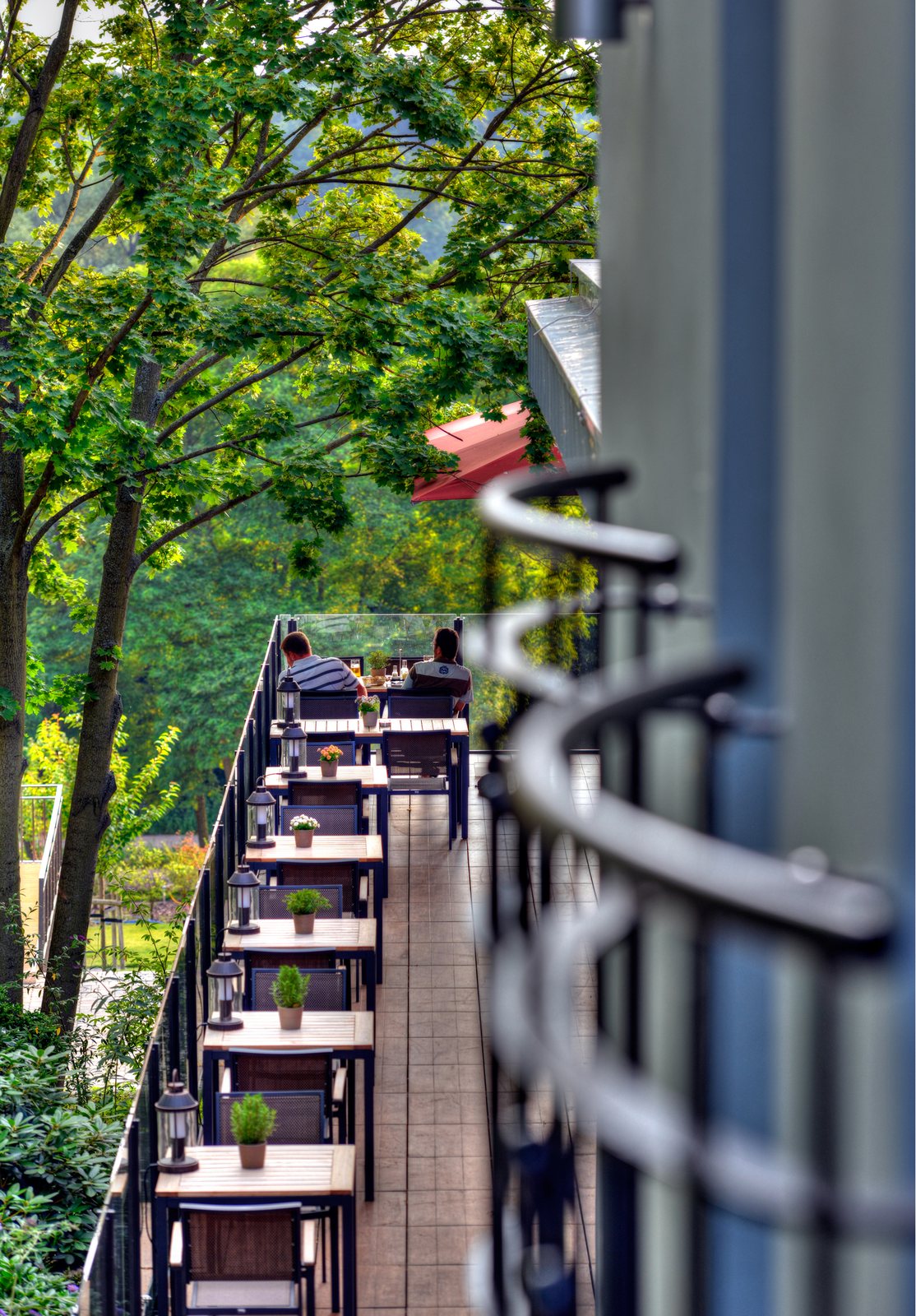 Gäste auf der begrünten Terrasse des ArtHotel Kiebitzberg zwischen Bäumen