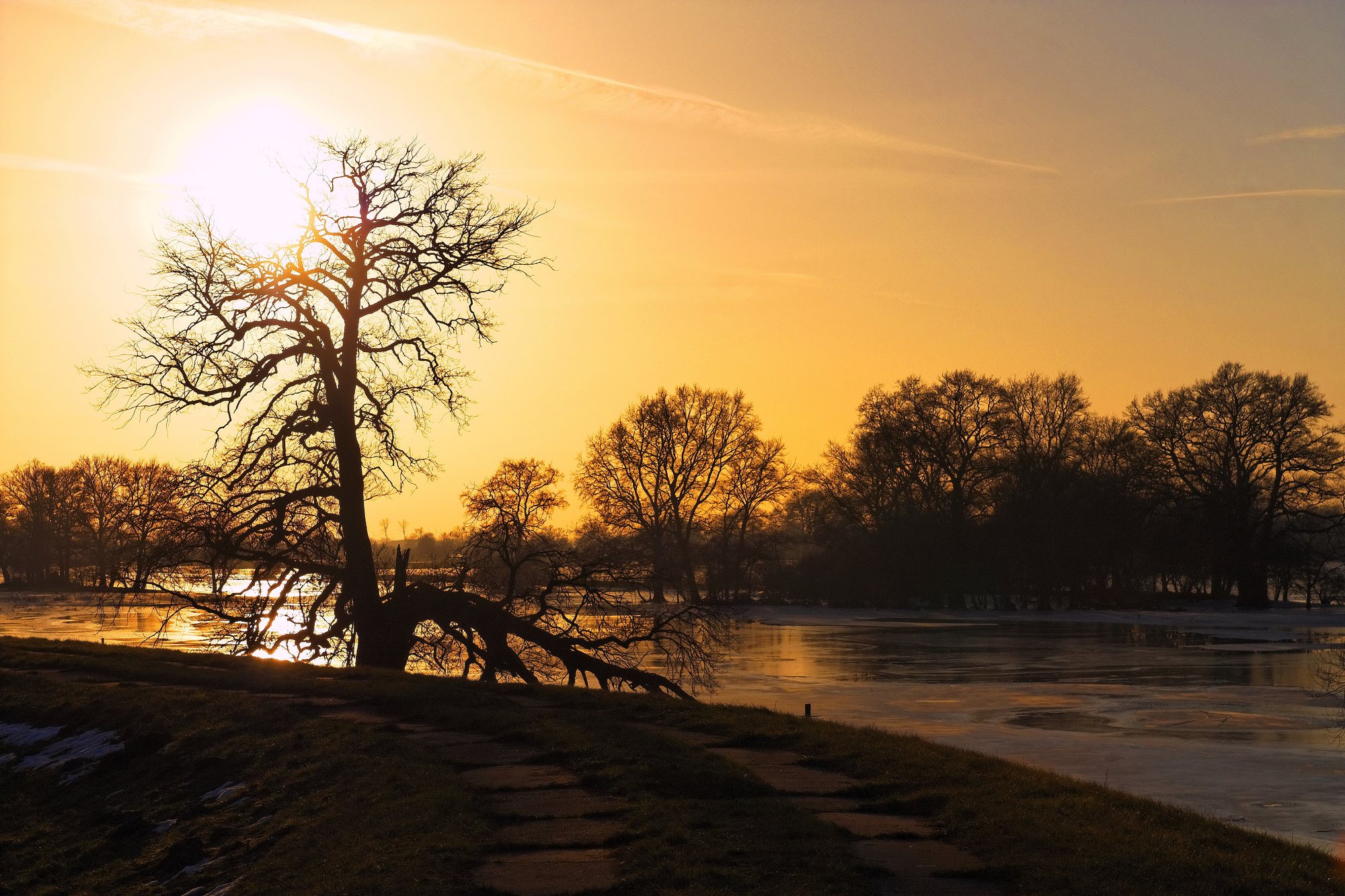 Kahle Bäume als Silhouette vor goldenem Sonnenaufgang über Havelberg