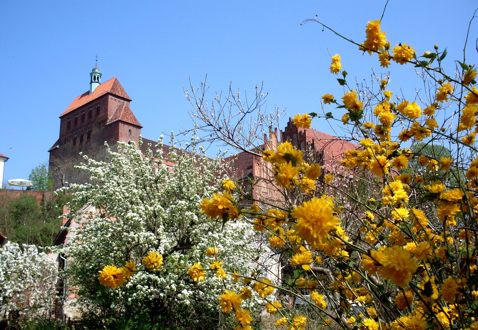 Frühling an der Havel bei Havelberg
